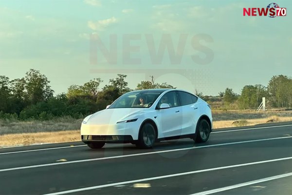 New Low-Cost Tesla Cars Fail to Impress, Shares Drop